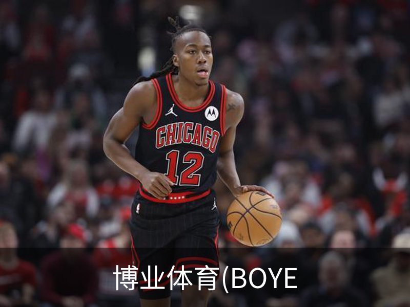 博业体育(BOYE概况